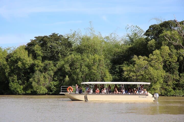 Darwin Pathfinder Jumping Crocodile Cruise — Adelaide River Wildlife Adventure photo 6