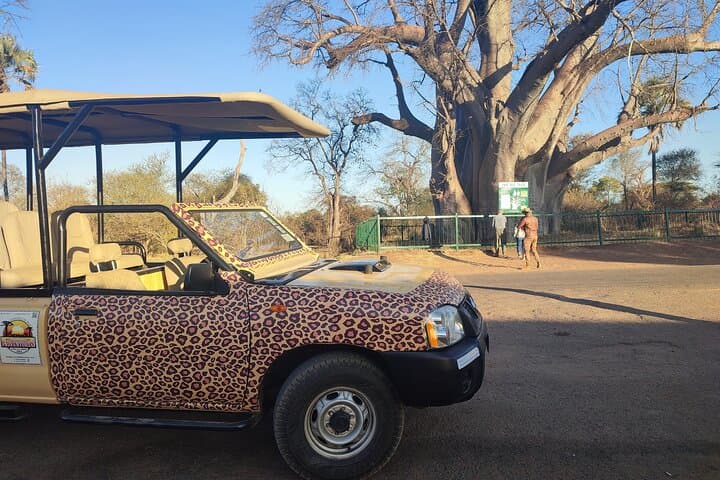 Vulture Safari & Baobab Tour at Victoria Falls National Park photo 6