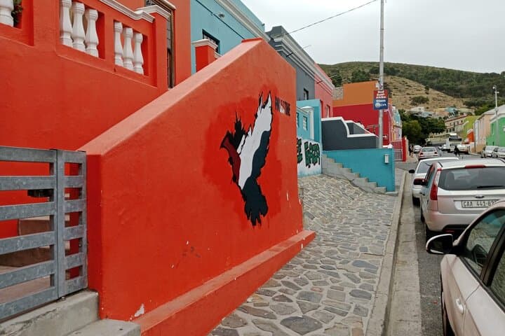 Cape Town Full-Day: Bo-Kaap, Seal Island, World of Birds & Constantia Wine Tasting