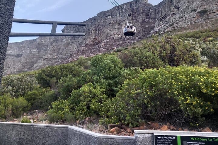 Cape Peninsula Day Tour: Table Mountain, Cape of Good Hope & Boulders Penguin Colony photo 3