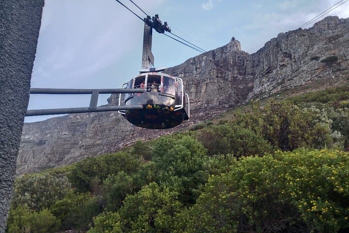 Table Mountain & Robben Island: Private Full-Day Cape Town Tour photo 5
