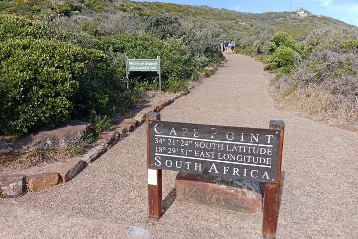 Cape Peninsula: Private Full-Day Tour to Cape Point, Boulders Penguins & Chapman's Peak photo 6