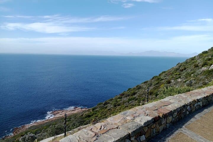 Cape Point & Boulders Beach: Full-Day Penguin and Coastal Drive Tour from Cape Town photo 4