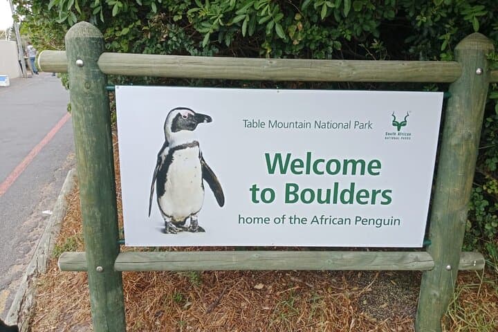 Cape Point & Boulders Beach: Full-Day Penguin and Coastal Drive Tour from Cape Town photo 5