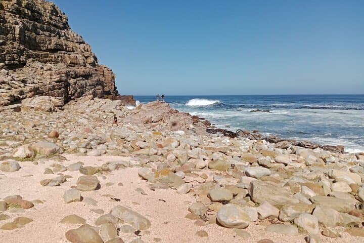 Cape Peninsula Full-Day Tour: Cape Point, Chapman's Peak & Boulders Beach Penguins photo 6