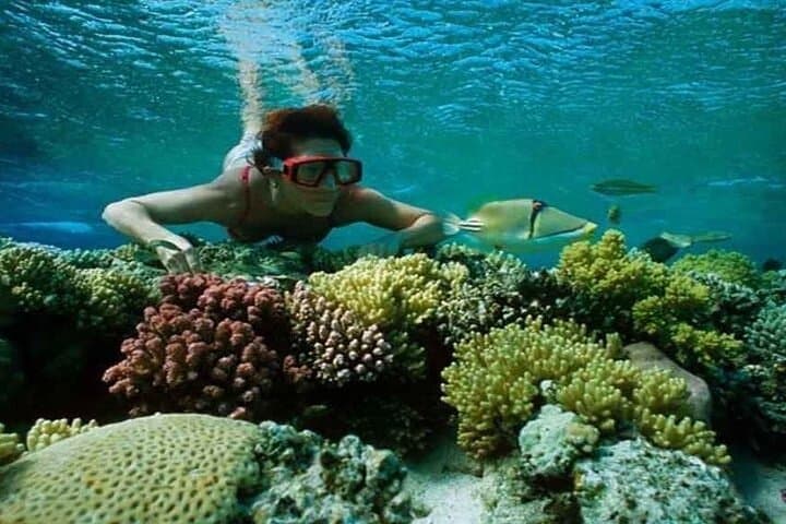 Hamata Island Snorkeling: Full-Day Adventure from Marsa Alam