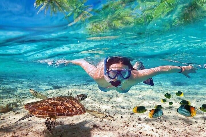 Hamata Island Snorkeling: Full-Day Adventure from Marsa Alam photo 2