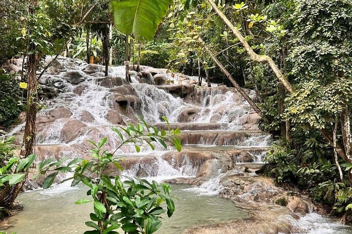 Dunns River Falls and Horseback Swim — Ocho Rios Half-Day Adventure photo 4