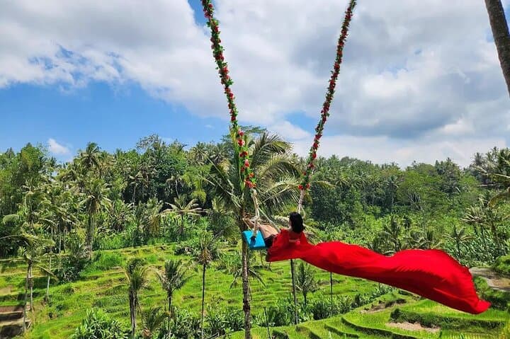 Ubud Half-Day Zipline & Jungle Swing Over Rice Terraces photo 2