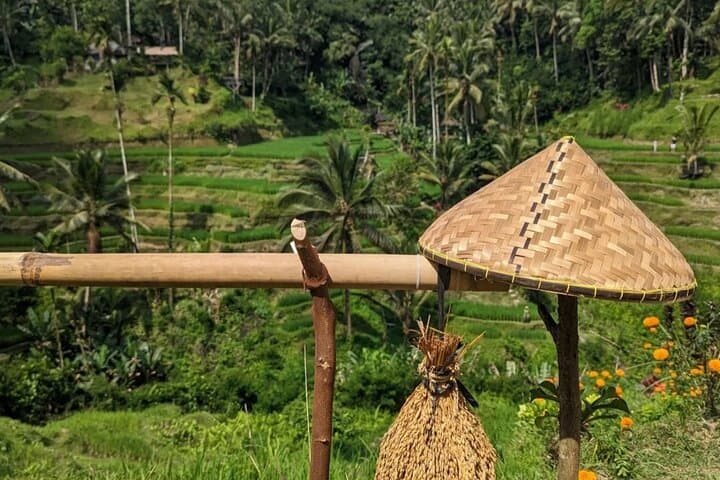 Ubud Half-Day Zipline & Jungle Swing Over Rice Terraces photo 4