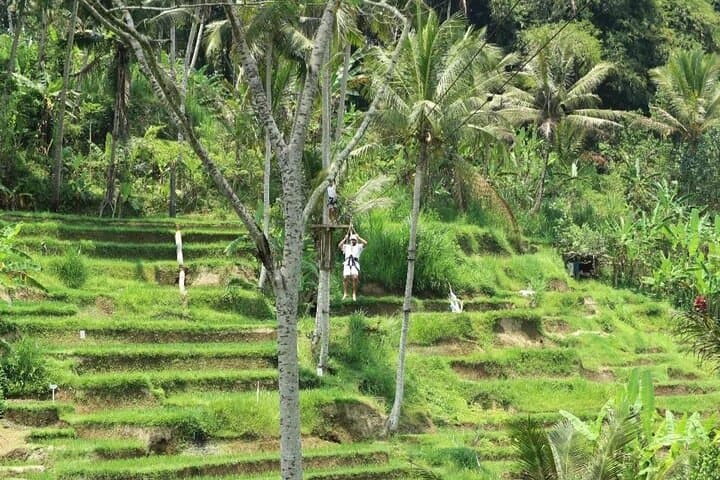 Ubud Half-Day Zipline & Jungle Swing Over Rice Terraces photo 6