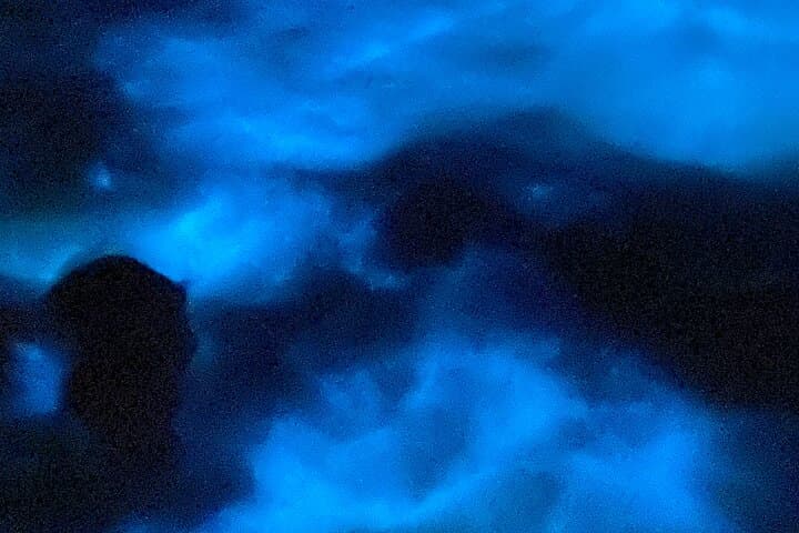 Luminous Lagoon Night Tour: Swim Jamaica’s Brightest Bioluminescent Waters photo 2
