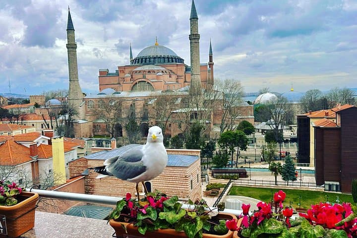 Skip Lines with Local Guide Taha — Private Old City Walking Tour of Istanbul photo 1