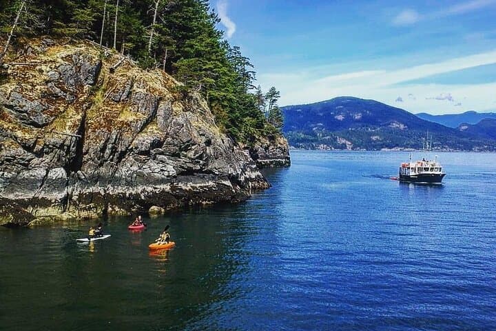 Morning Kayak & Seal Cruise in Howe Sound from Horseshoe Bay