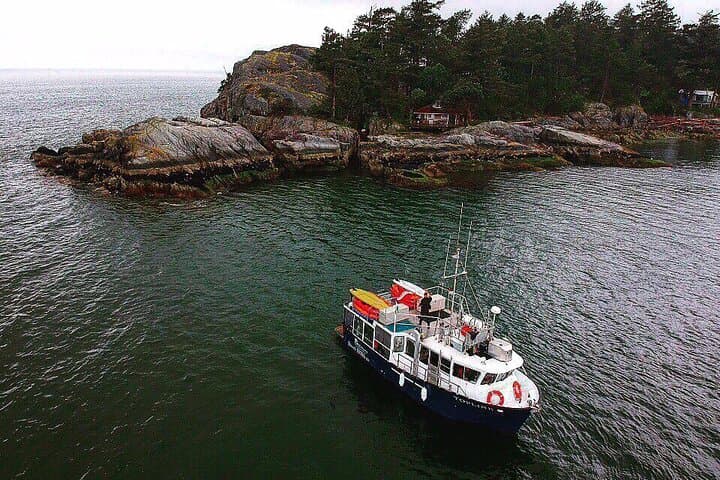 Morning Kayak & Seal Cruise in Howe Sound from Horseshoe Bay photo 6