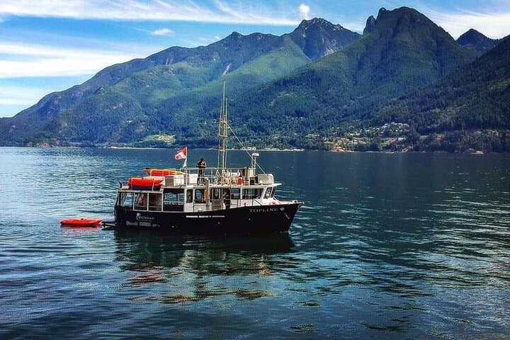 Morning Kayak & Seal Cruise in Howe Sound from Horseshoe Bay photo 4