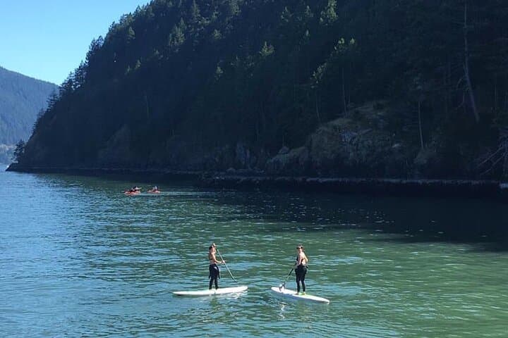 Morning Kayak & Seal Cruise in Howe Sound from Horseshoe Bay photo 2