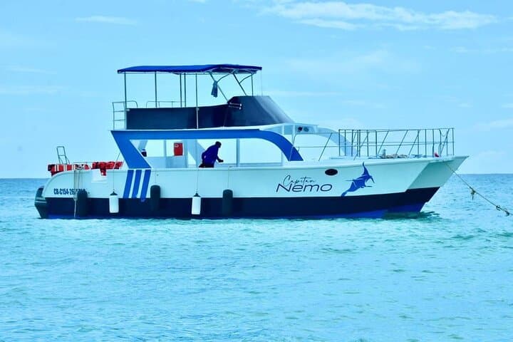 Catalina Island Snorkeling: Full-Day Trip from Punta Cana