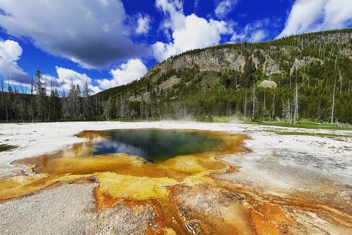 Explore Yellowstone National Park in a Custom Private Tour Experience photo 2