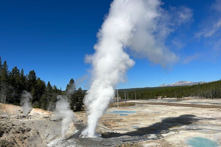 Explore Yellowstone National Park in a Custom Private Tour Experience photo 6