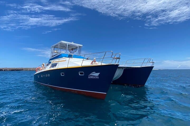 Bartolome Island Catamaran Day Trip: Pinnacle Rock, Penguins & Snorkeling photo 3