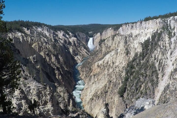 Yellowstone Full-Day Private Tour from Jackson Hole — Old Faithful, Grand Prismatic & Wildlife photo 3
