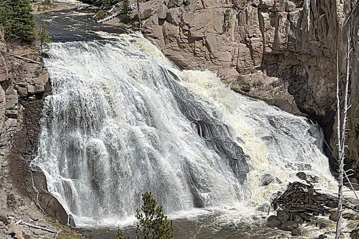 Yellowstone Full-Day Private Tour from Jackson Hole — Old Faithful, Grand Prismatic & Wildlife photo 5