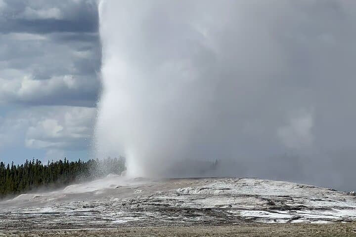 Yellowstone Full-Day Private Tour from Jackson Hole — Old Faithful, Grand Prismatic & Wildlife photo 6