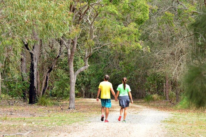 Kangaroos and Mountain Views Day Tour from Gold Coast — Tamborine Mountain Wildlife & Gallery Walk photo 2