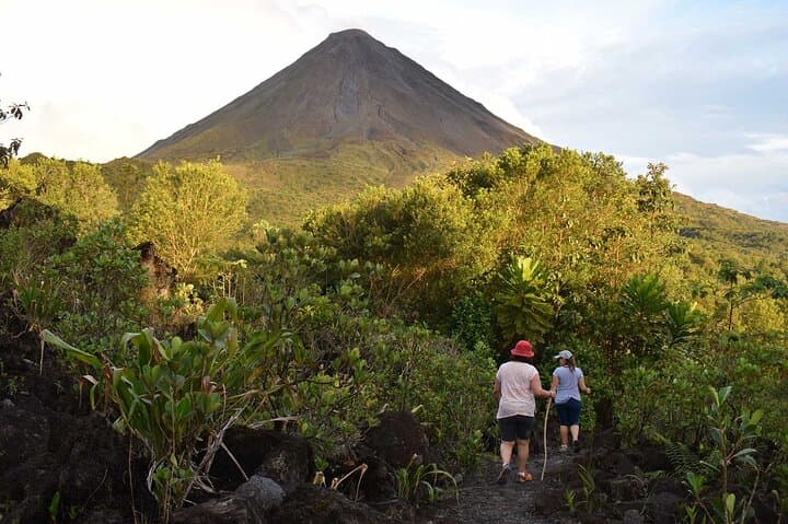 Private Arenal Highlights: Hanging Bridges, La Fortuna Waterfall & Volcano Viewpoint photo 4
