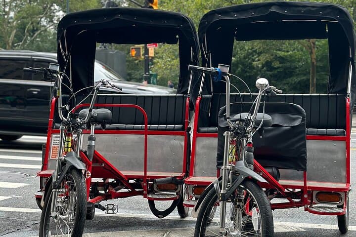 Central Park Pedicab Tour: Guided Highlights & Practical Tips photo 2