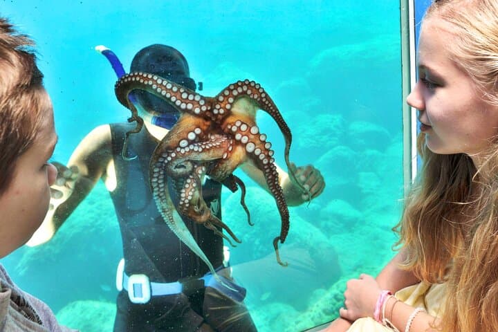 Rhodes Yellow Submarine Cruise: Underwater Observatory & Medieval City Views photo 3