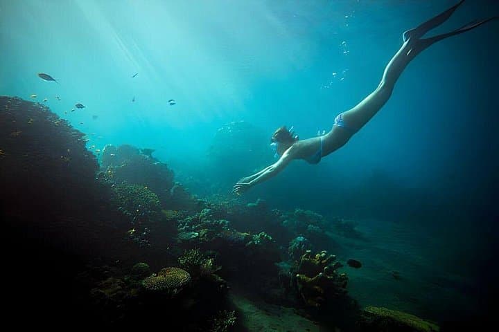 Da Nang Son Tra Peninsula Snorkeling & Fishing — Half-Day Boat Tour photo 4