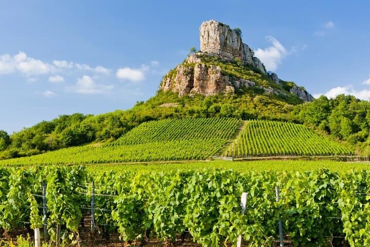 Vintage Land Rover Wine Tour of Beaujolais & Mâconnais: Private Full-Day Experience photo 5