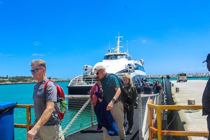 Robben Island Half-Day Guided Tour from Cape Town — Ferry to the Prison Museum photo 5