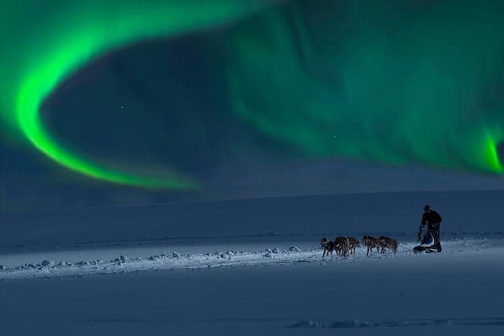 Dog Sledding Under the Northern Lights in Alta — 4-Hour Husky Experience photo 2
