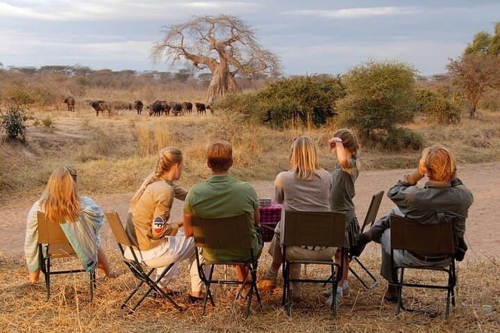8-Day Luxury Private Safari: Tarangire, Serengeti & Ngorongoro in Style photo 2