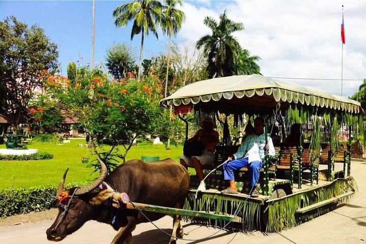 Villa Escudero Day Tour: Waterfall Lunch, Carabao Cart, and Coconut Hacienda Near Manila photo 2