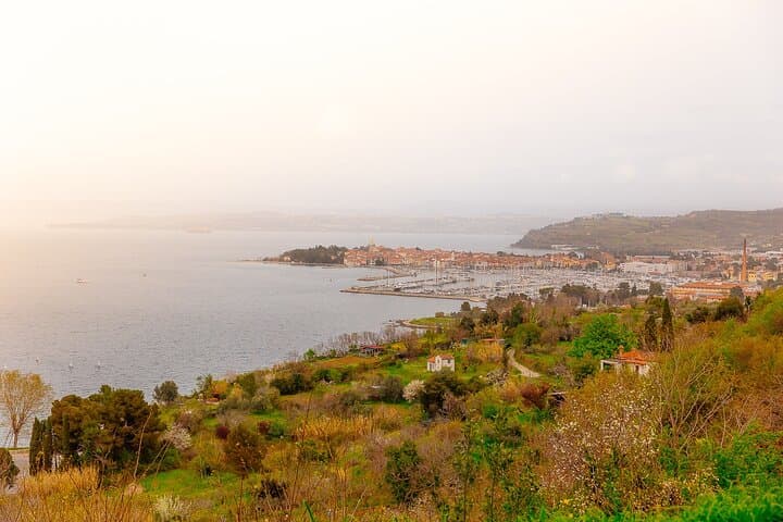 Hop and Taste Slovenia: Koper, Izola & Marezige Coastal Loop photo 4
