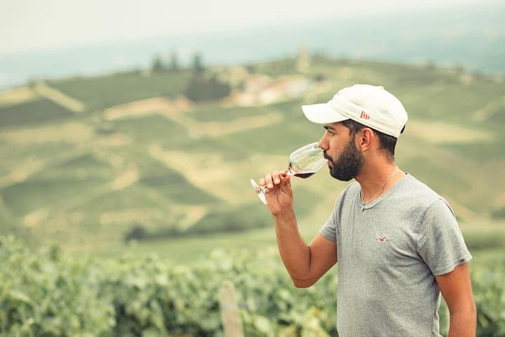 Half-Day Vintage Land Rover Wine Tour in Burgundy’s Mâconnais photo 3