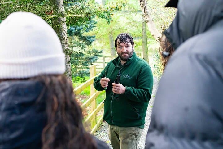 Beginner's Foraging Walk and Bushcraft Cookery Course in Northern Ireland