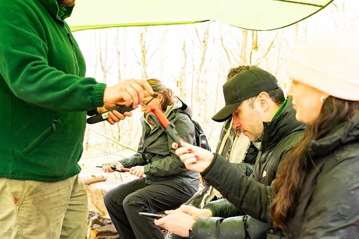 Beginner's Foraging Walk and Bushcraft Cookery Course in Northern Ireland photo 5