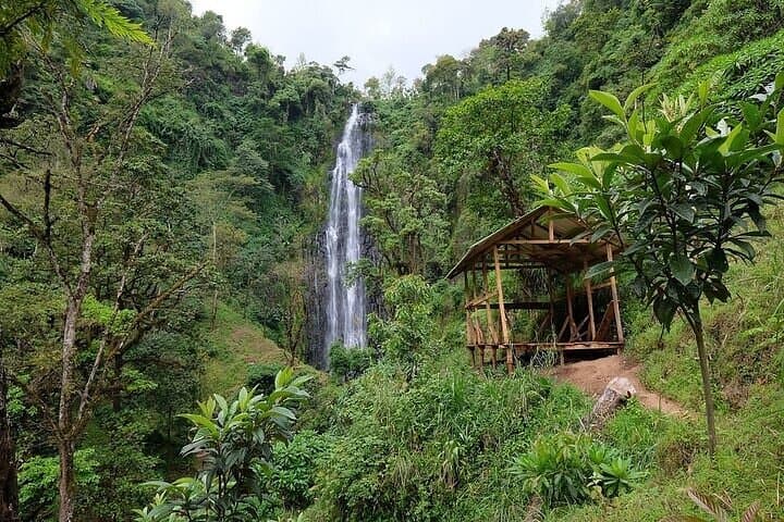 Materuni Waterfalls and Kikuletwa Hot Springs: Full-Day Waterfall, Coffee & Hot Springs Tour photo 1