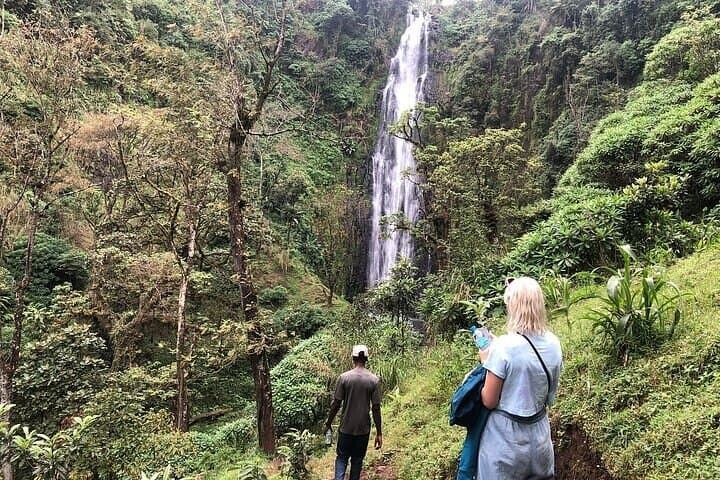 Materuni Waterfalls and Kikuletwa Hot Springs: Full-Day Waterfall, Coffee & Hot Springs Tour photo 3