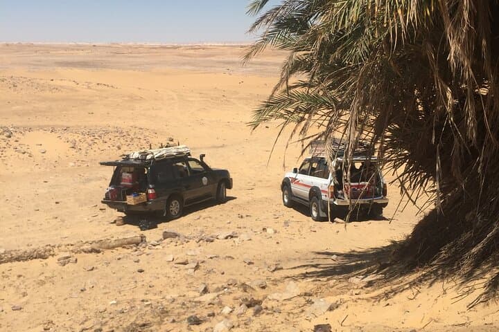 2-Day Desert Camping in Bahariya Oasis: White & Black Desert Adventure photo 2