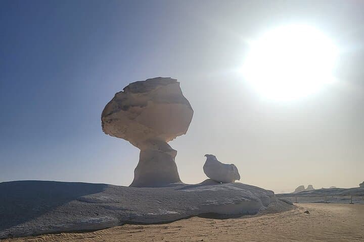 2-Day Desert Camping in Bahariya Oasis: White & Black Desert Adventure