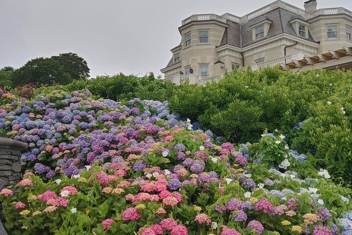 Gilded Age Private Van Tour: Newport Mansions, Ocean Drive & Colonial Highlights (90-Minute) photo 5