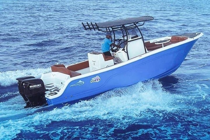 Hurghada Speedboat Snorkel: Hula Hula Island & Dolphin House Tour photo 2