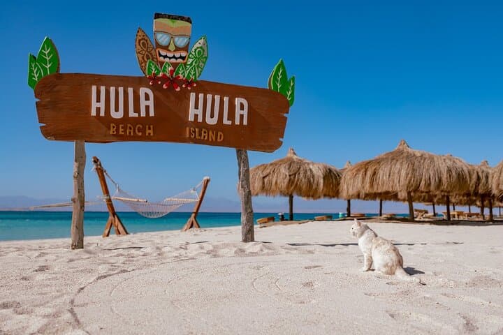 Hurghada Speedboat Snorkel: Hula Hula Island & Dolphin House Tour photo 1