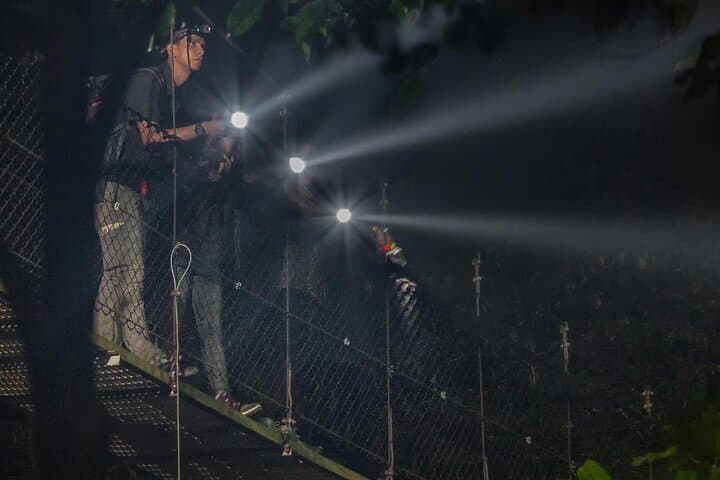 Night Hike at Mistico Arenal Hanging Bridges: La Fortuna’s Tropical After-Dark Adventure